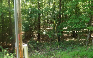 Additional View