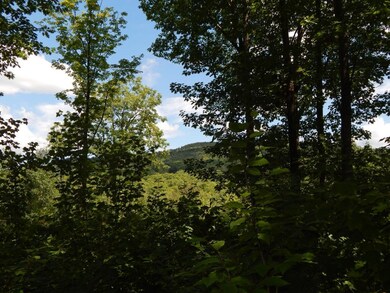 Lot 1 Main St, Springfield, NH 03284 - photo 5