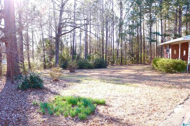 117 Cauthen Cir, Roanoke, AL 36274 - photo 5