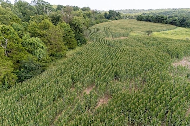 000 Shiloh Rd, Cobden, IL 62920 - photo 5