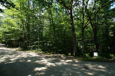 0 Raccoon Aly unit Lot 76 4923710, Hillsboro, NH 03244 - photo 2