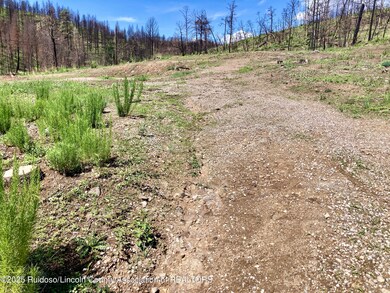 200 Alpine Village Rd, Ruidoso, NM 88345 - photo 7