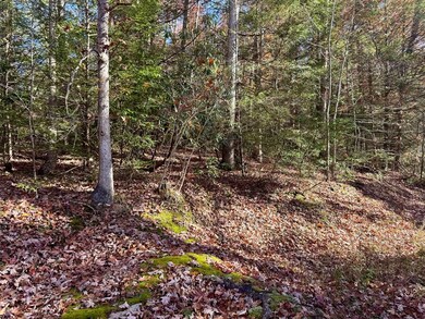 58 Martin Ln, Nallen, WV 26680 - photo 5