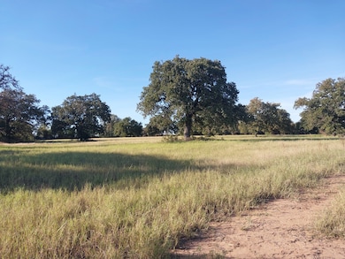 3350 Farm To Market 587, de Leon, TX 76444 - photo 4