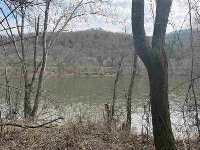 13 Allure Ln, Mountain View, AR 72560 - photo 3