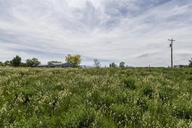 IMG_8247