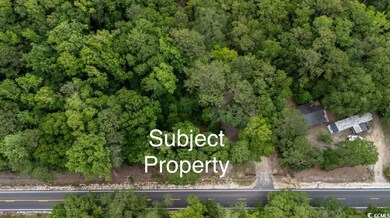 Parcel G S Island Rd, Georgetown, SC 29440 - photo 6