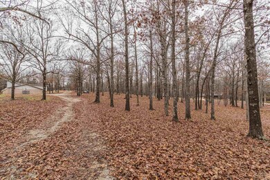 4000 Mcdaniel Rd, Paragould, AR 72450 - photo 3