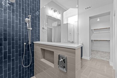 Owner's Bath