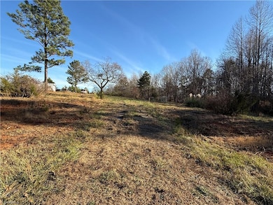 000 Mulberry Academy St, Franklinville, NC 27248 - photo 3