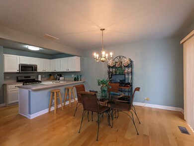 711 Timothy Ct unit 173, East Dundee, IL 60118 - photo 7