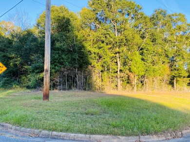 WIDE FRONT CORNER LOT!!