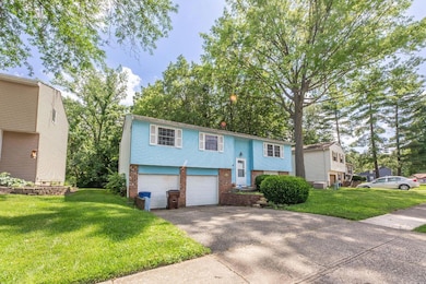 4187 Camellia Ct, Westerville, OH 43081 - photo 4