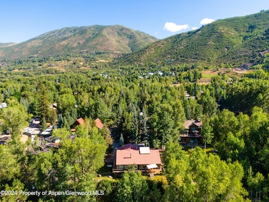 981 King St, Aspen, CO 81611 - photo 4
