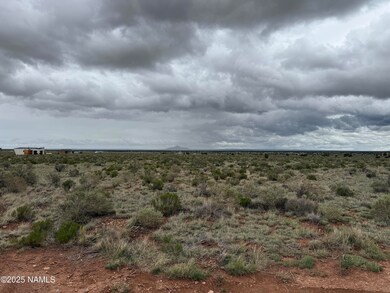 2607 E Valle Rd, Valle, AZ 86046 - photo 5