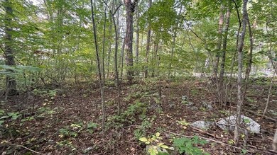 2 Thompson Pond Rd, Spencer, MA 01562 - photo 4