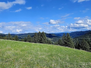 0 Dent Bridge Rd, Orofino, ID 83544 - photo 6