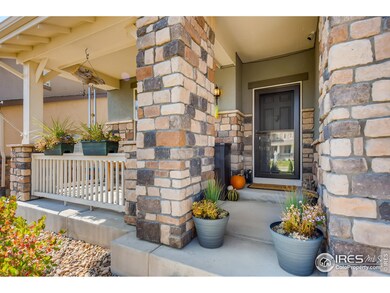 8869 Gore St, Arvada, CO 80007 - photo 5