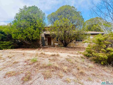 802 E Greene St, Carlsbad, NM 88220 - photo 5