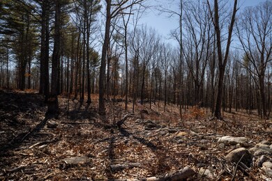 668 Williams Rd, Lyman, ME 04002 - photo 5