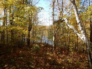 ON Foreman Rd unit 2.68 Acres, Deerbrook, WI 54424 - photo 6