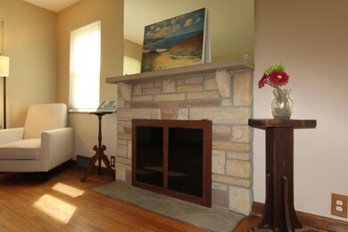 Wood-burning fireplace