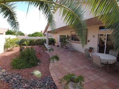 9152 E Escuda Backyard