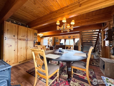 3676 Cherokee Meadows Rd, Livermore, CO 80536 - photo 6