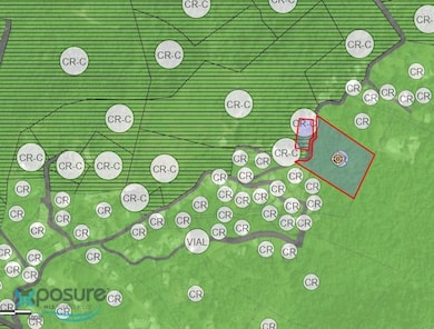 Ramal 150 Bo Guayabal Sitio Lajita unit A, Juana Diaz, PR 00795 - photo 7