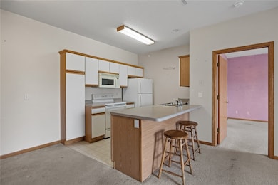 250 Cimarron Dr unit 309, Hiawatha, IA 52233 - photo 4