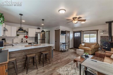 577 Horseshoe Dr, Divide, CO 80814 - photo 4