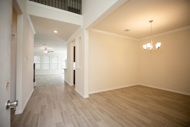 28630 Monarch Cliffs Dr, Fulshear, TX 77441 - photo 5