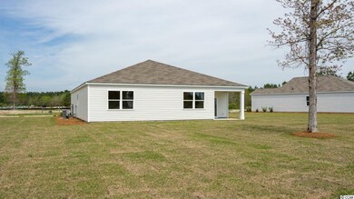 380 Spruce Pine Way unit Lot 209 - Kerry B, Conway, SC 29526 - photo 3