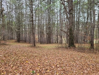 0 Rte 9 & Poor Rd unit 4838905, Chesterfield, NH 03466 - photo 4