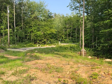 2019-07-09 17.24.21