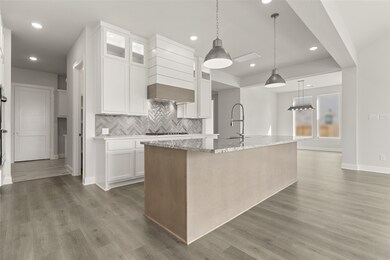 30338 Brook Point Ct, Fulshear, TX 77441 - photo 6