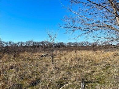 Looking northwest.  Tall trees in the distance sho