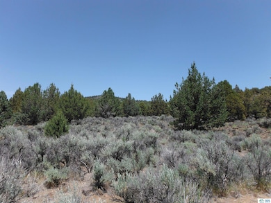 0 Tuledad Rd unit 202500229, Ravendale, CA 96123 - photo 6