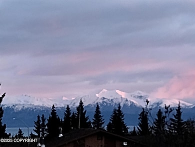 858 Linda Ct, Homer, AK 99603 - photo 5