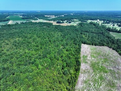 TBD Alamac Rd, Lumberton, NC 28358 - photo 6