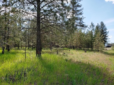 Nkn Us Highway 2, Libby, MT 59923 - photo 7