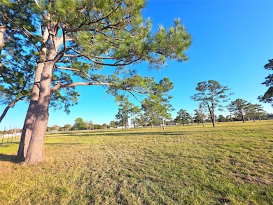 730 County Road 6610, Dayton, TX 77535 - photo 3