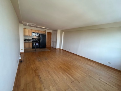 4180 N Marine Dr unit 1311, Chicago, IL 60613 - photo 3