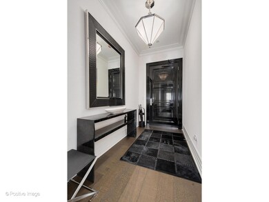 No. 9 Walton unit 1501, Chicago, IL 60610 - photo 5