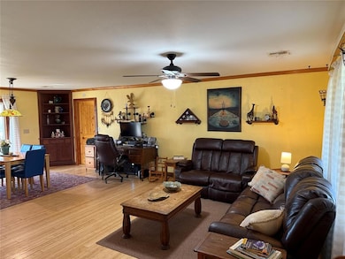 Living area featuring crown molding, visible vents