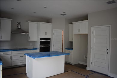 In progress photo of home under construction.