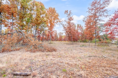 V/L 16 Mile Rd, Big Rapids, MI 49307 - photo 5