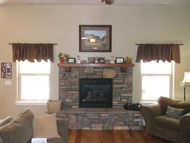 gas fire place