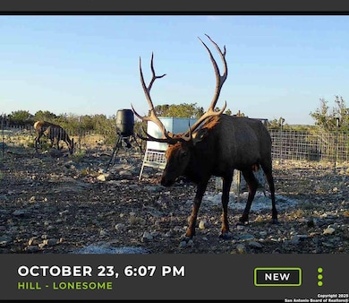 TBD High Lonesome Rd, Coms, TX 78837 - photo 3