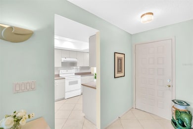 1164 Rustlewood Ct, Palm Harbor, FL 34684 - photo 7